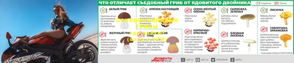 Альфа ПВП Алзамай