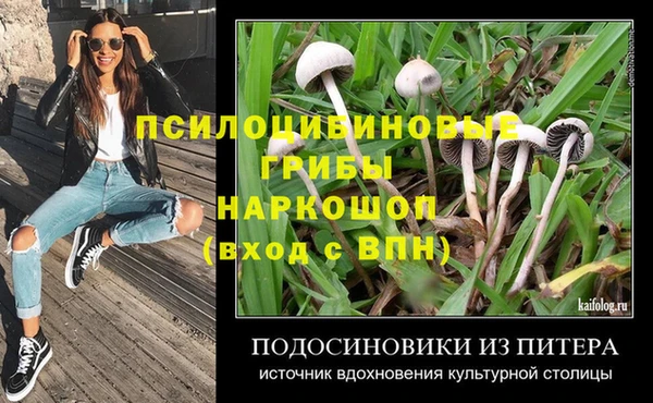 герыч Алексин