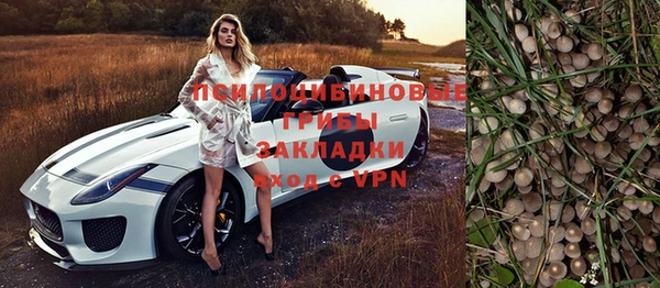 Альфа ПВП Алзамай